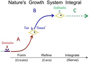 Stages of system self-organizationan
