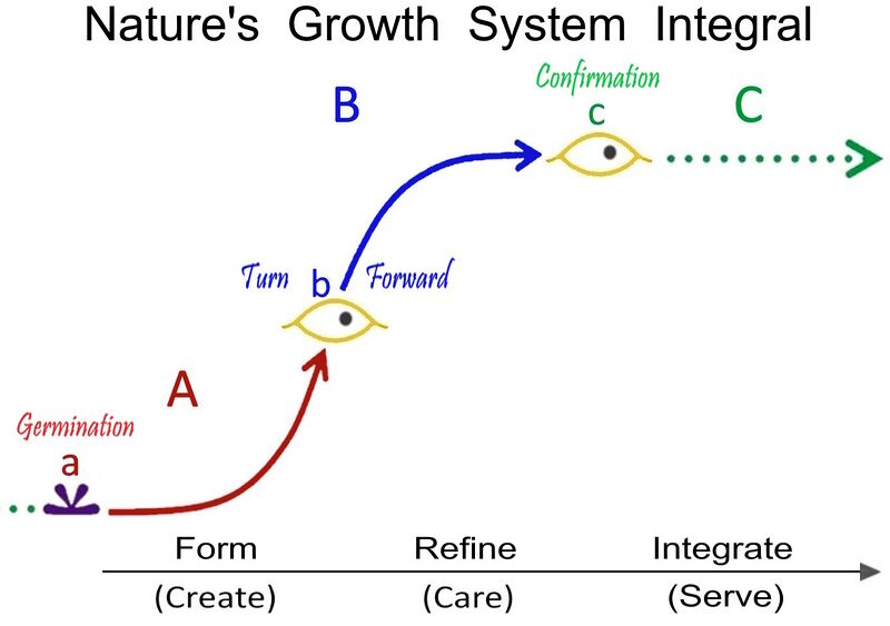File:GrowthSysIntegral.jpg